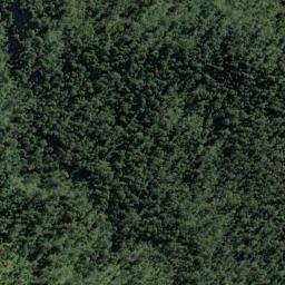 Satellite imagery of Galway Point, NZ