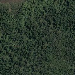 Satellite imagery of Waikohai Bluff, NZ