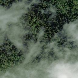 Satellite imagery of Galway Point, NZ