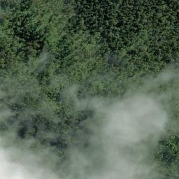 Satellite imagery of Galway Point, NZ