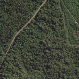 Satellite imagery of Bust Me Gall, AU