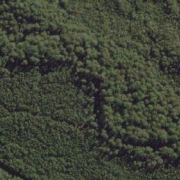 Satellite imagery of Bust Me Gall, AU