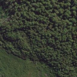 Satellite imagery of Bust Me Gall, AU