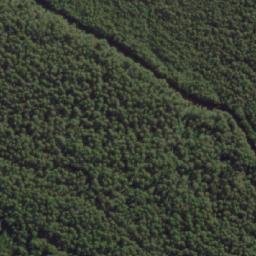 Satellite imagery of Bust Me Gall, AU