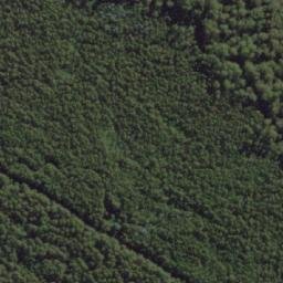 Satellite imagery of Bust Me Gall, AU