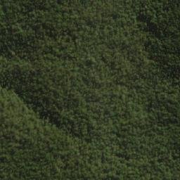 Satellite imagery of Mount Alexandra, AU
