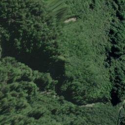 Satellite imagery of Wilson Rock, NZ