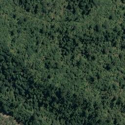 Satellite imagery of Otorokua Point, NZ