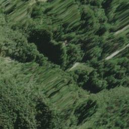 Satellite imagery of Wilson Rock, NZ