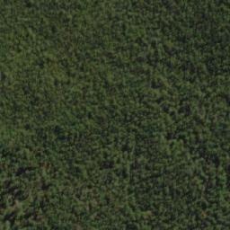 Satellite imagery of Mount Bisdee, AU
