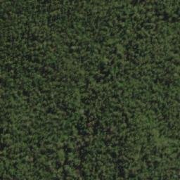 Satellite imagery of Mount Bisdee, AU
