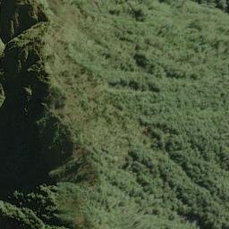 Satellite imagery of Wilson Rock, NZ