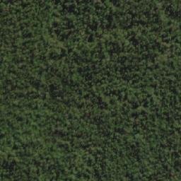 Satellite imagery of Mount Bisdee, AU