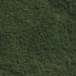 Satellite imagery of Mount Bisdee, AU