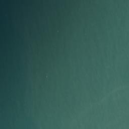 Satellite imagery of Cook Bluff, NZ