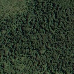 Satellite imagery of Isaacs Bluff, NZ