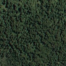 Satellite imagery of Isaacs Bluff, NZ