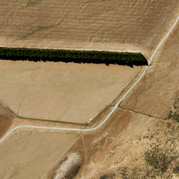 Satellite imagery of Ricki Spur, NZ