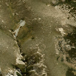 Satellite imagery of Cookies Point, NZ
