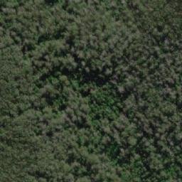 Satellite imagery of Bare Hill, AU