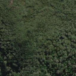 Satellite imagery of Bare Hill, AU
