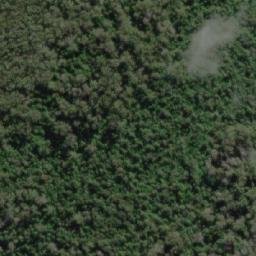 Satellite imagery of Bare Hill, AU