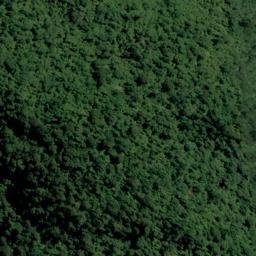 Satellite imagery of Buttress Point, NZ