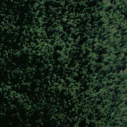 Satellite imagery of Tititira Head, NZ