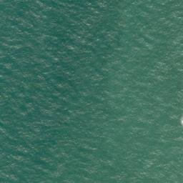 Satellite imagery of Piakatu Point, NZ