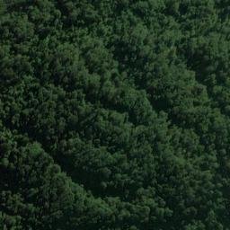 Satellite imagery of Piakatu Point, NZ
