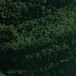 Satellite imagery of Piakatu Point, NZ