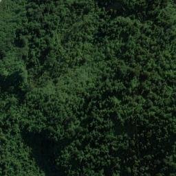 Satellite imagery of Piakatu Point, NZ