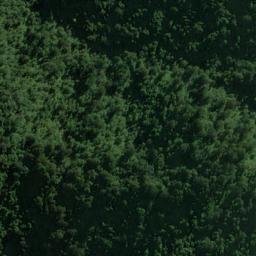 Satellite imagery of Piakatu Point, NZ
