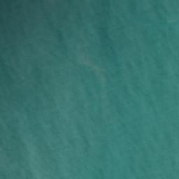 Satellite imagery of Arnott Point, NZ