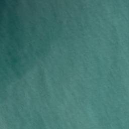 Satellite imagery of Arnott Point, NZ