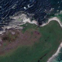 Satellite imagery of Cape Pattisson, NZ