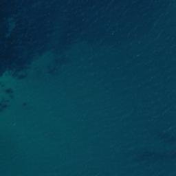 Satellite imagery of Cape Pattisson, NZ