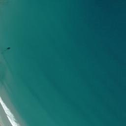 Satellite imagery of Cape Pattisson, NZ