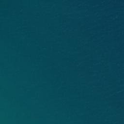 Satellite imagery of Cape Pattisson, NZ