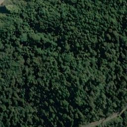 Satellite imagery of Adiantum Bluff, NZ