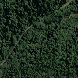 Satellite imagery of Adiantum Bluff, NZ