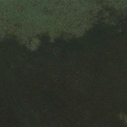 Satellite imagery of Te Matarae, NZ