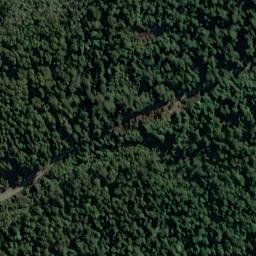 Satellite imagery of Adiantum Bluff, NZ