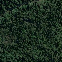 Satellite imagery of Adiantum Bluff, NZ