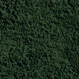 Satellite imagery of Adiantum Bluff, NZ