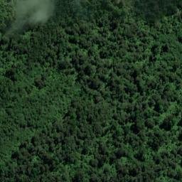 Satellite imagery of Moeraki Bluffs, NZ