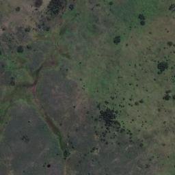 Satellite imagery of Weeding Point, NZ