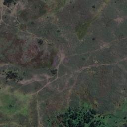 Satellite imagery of Weeding Point, NZ