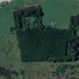 Satellite imagery of Moeha, NZ