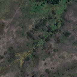 Satellite imagery of Weeding Point, NZ